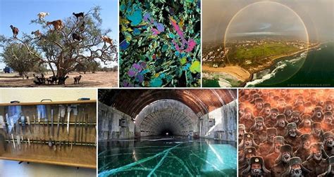 Random Interesting 的图像结果