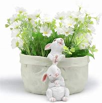 Image result for Rabbit Tea Pots