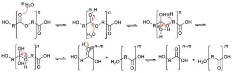 Polyester-Based (Bio)degradable Polymers as Environmentally Friendly ...