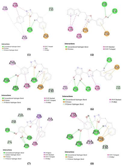 Synthesis, Molecular Docking and β-Glucuronidase Inhibitory Potential ...