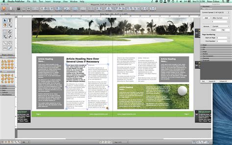 Image result for Alternative InDesign