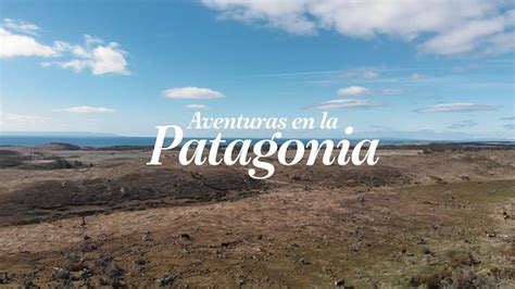 Aventuras en la Patagonia (Punta Arenas) - All You Need to Know BEFORE ...