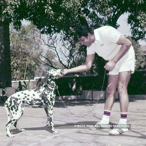 Rajendra Kumar was no Raj Kapoor, Dev Anand or Dilip Kumar but he was ...