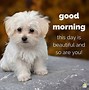 Image result for Good Morning Dog Smiles
