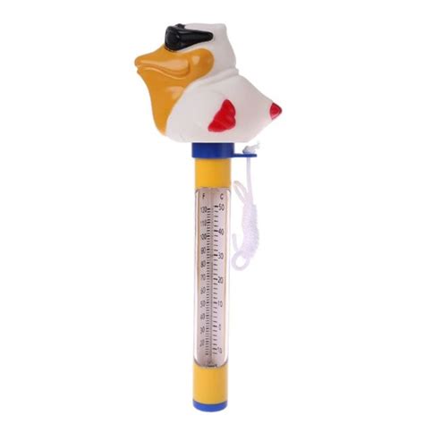 Buy Floating Pool Thermometer - Fahrenheit and Celsius Scale ...