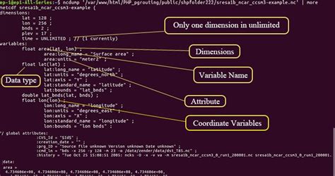 Image result for netCDF Attribute Structure