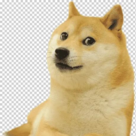 Arc Testing 的图像结果