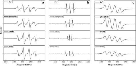 Dmpo H2O2 的图像结果