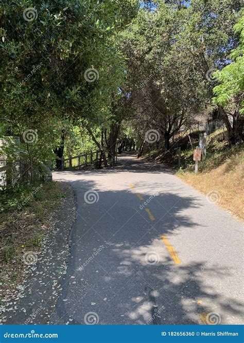 Stevens Creek Trail stock photo. Image of mountain, bushes - 182656360