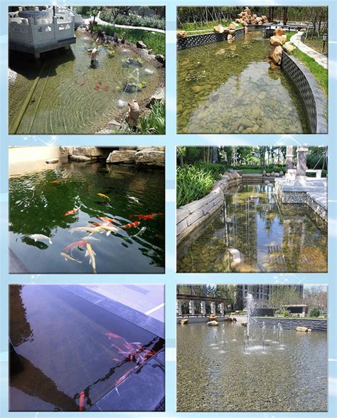 鱼塘净水方法,假山鱼池净水器贵阳300吨别墅景观鱼池过滤-阿里巴巴