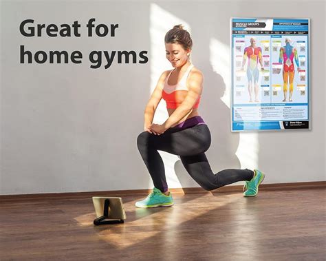 Posterfit Muscle Groups Gym Workout Poster - EXTRA LARGE 33 X India | Ubuy