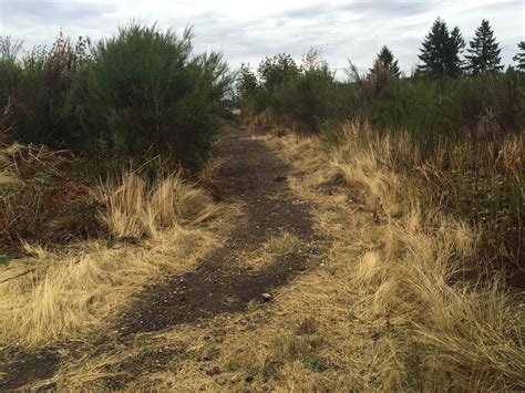 Soldier's Field House Mountain Bike Trail in Ft. Lewis, Washington ...