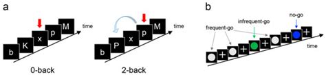 An fMRI Investigation into the Effects of Ketogenic Medium-Chain ...