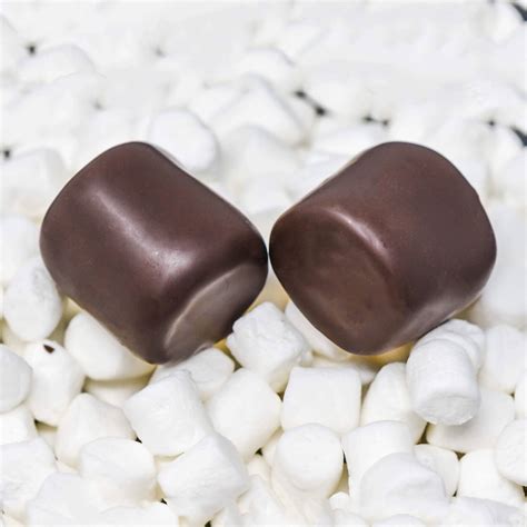 Chocolate Covered Marshmallows (6 count) – Robin's Confections