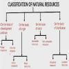 what is classification of resourses - Brainly.in