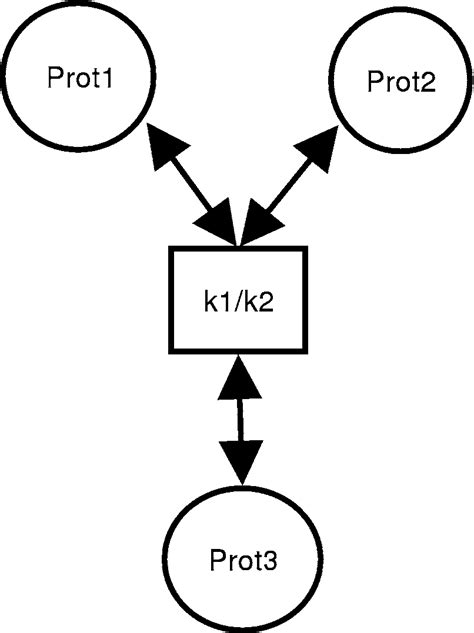 Biochemical 的图像结果