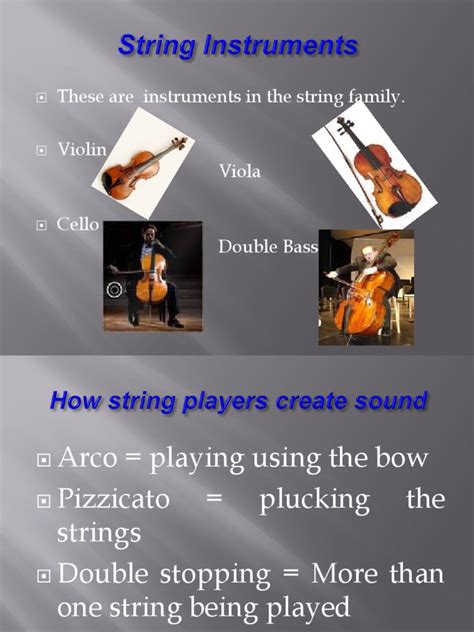 Image result for String Family Instruments