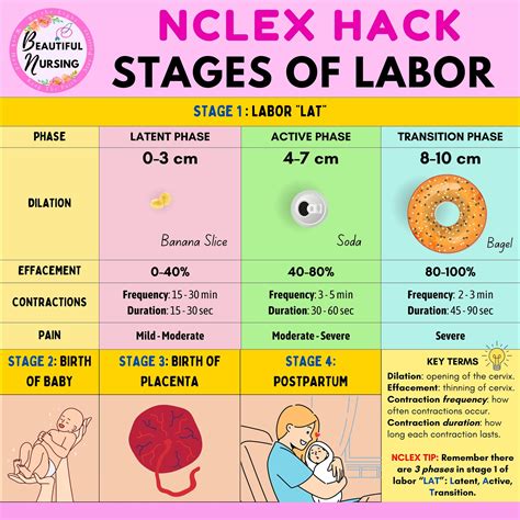 Labor 的图像结果