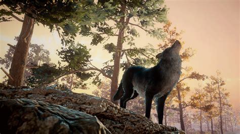 Image result for Wolves Survival