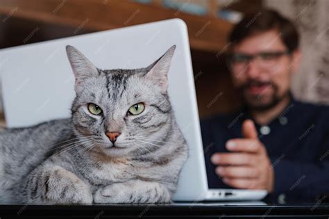 Premium Photo | Working at home with pet laying on lap man works from ...