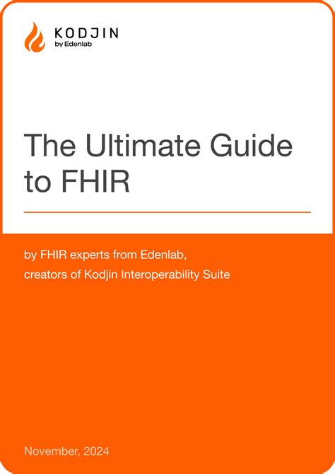 Image result for Fhir Implementation Guide