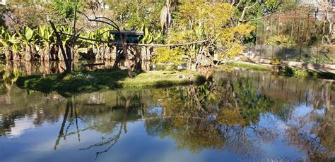 Tsimbazaza Zoo (Antananarivo) - 2019 What to Know Before You Go (with ...