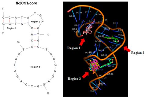 Aptamer against Aflatoxin B1 Obtained by SELEX and Applied in Detection