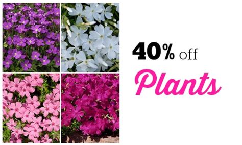 40% off Seedling & Sprout Ready to Plant Bulbs, Seedlings and Trees ...