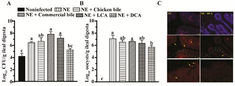 Specific Secondary Bile Acids Control Chicken Necrotic Enteritis
