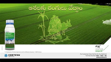 Novlect | Corteva Agriscience