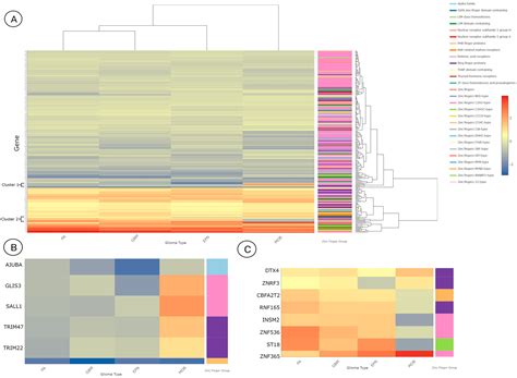 Central Role of C2H2-Type Zinc Finger-Containing Genes in Pediatric ...