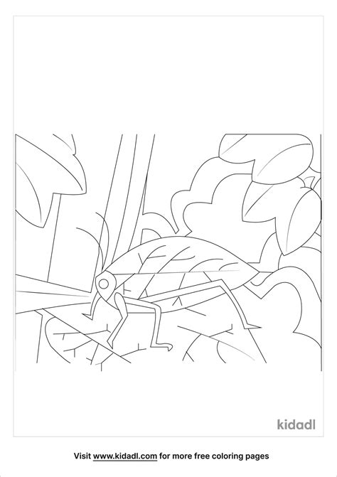 Free Animal Camouflage Worksheets at Liam Mckillop blog