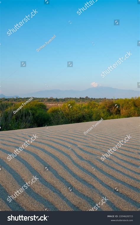 Image result for How Sand Is Formed