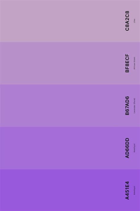 25 best violet color palettes with names and hex codes – Artofit