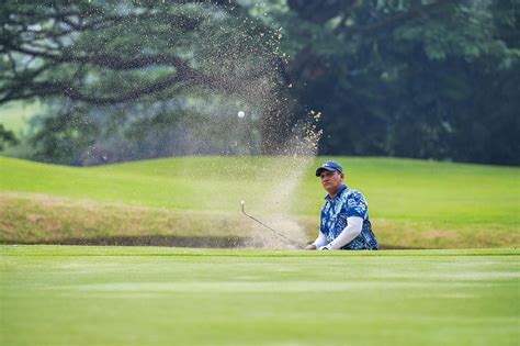 高尔夫 的图像结果