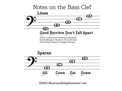 Music Notes Bass Clef 的图像结果