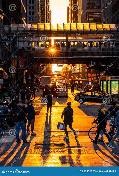 Busy Life 的图像结果