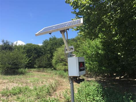 Bowhunting Hogs At Night With Sniper Hog Lights – Transition Wild