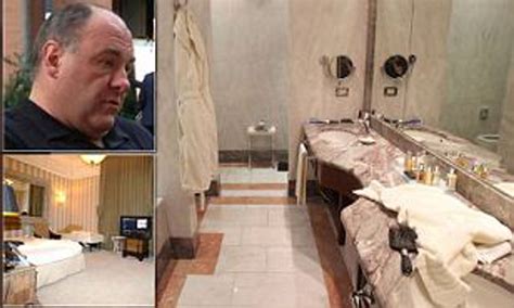 Ultima Foto De James Gandolfini