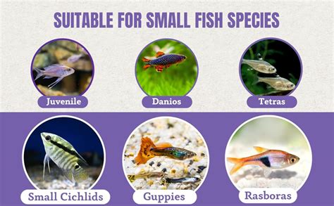 Foodie Puppies Fish Food, Pouch - 1.2mm, 1kg | Aquarium Fish Food for ...