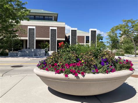 Mead Public Library Design