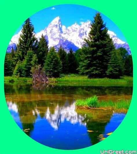 Image result for DP Table in Dynamic Programming