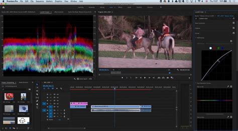 How to Brighten Video in Premiere Pro for Stunning Results