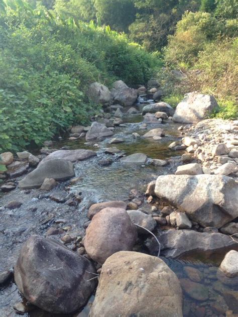 山裡的小溪河，忍不住直接捧起來就喝 - 每日頭條