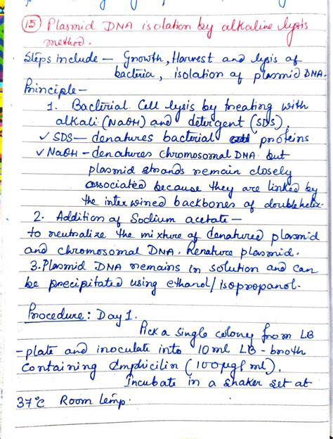 Plasmid Isolation 的图像结果