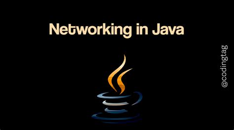 Image result for Networking in Java
