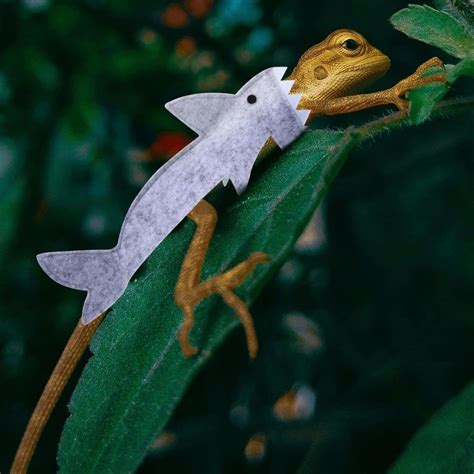 Adorable Shark Costume for Small Reptiles and Amphibians – My 1 Store