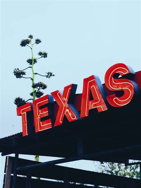 2025 Best Texas MFT Degree Programs (w/ Accredited & Online)