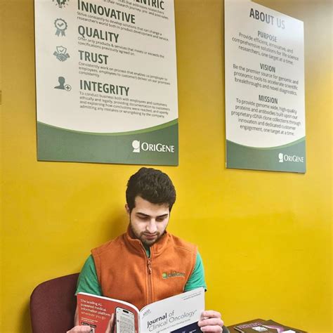 Image result for Origine Lab Tutorial