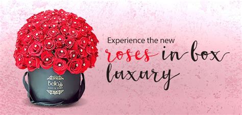 11+ Web Banner Examples to Download